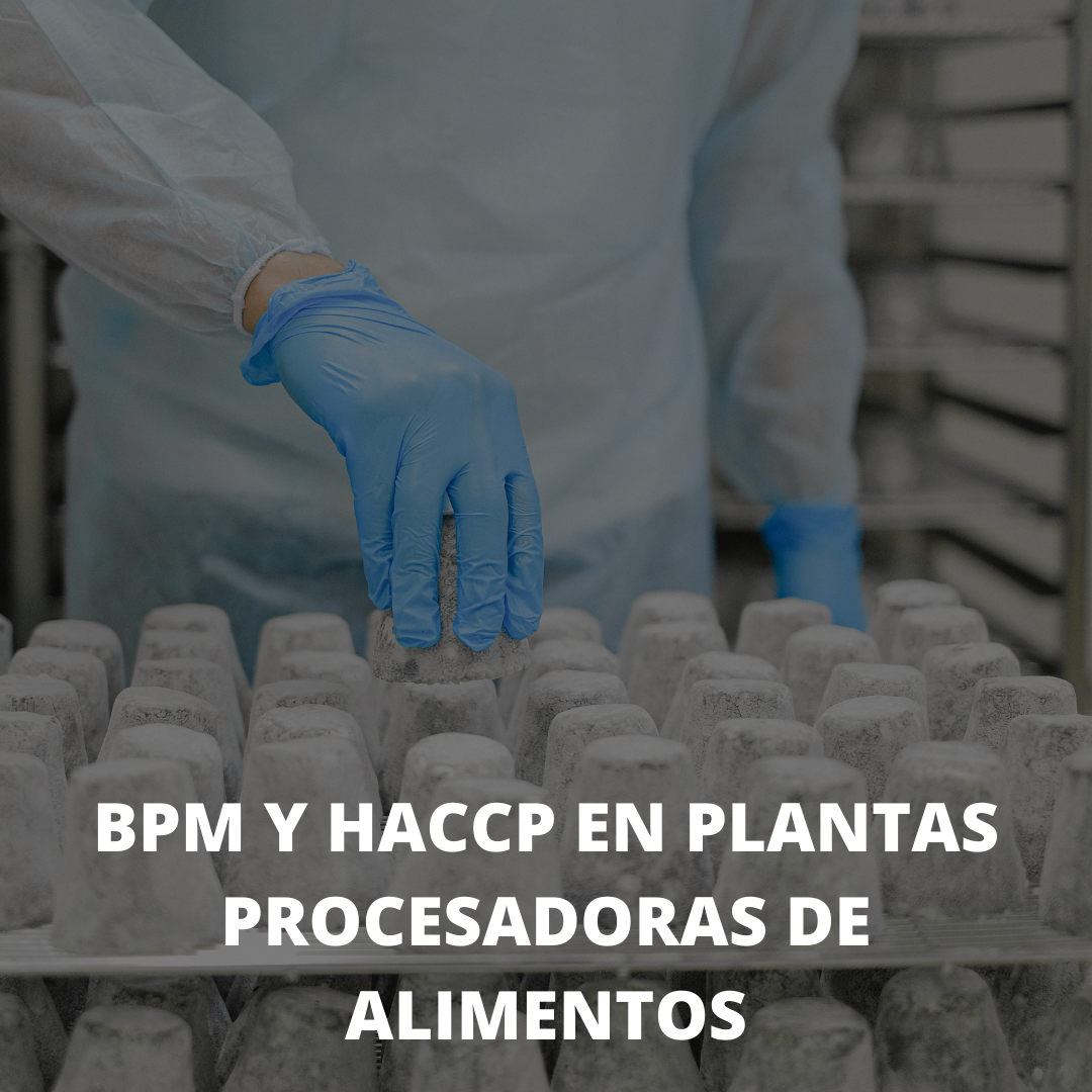 BPM Y HACCP EN PLANTAS PROCESADORAS DE ALIMENTOS.