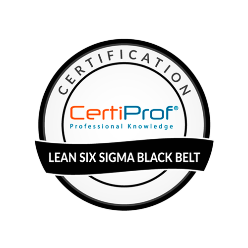 Certificación Internacional en Lean Six Sigma Black Belt.