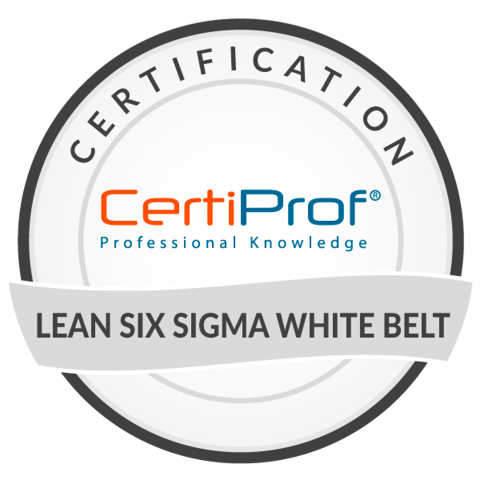 Lean Six Sigma White Belt.